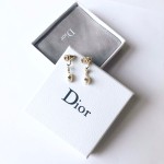 Dior earrings