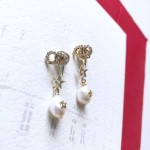 Dior earrings