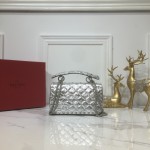 Valentino Fan Bingbing with the handbag 0123