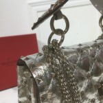 Valentino Fan Bingbing with the handbag 0123