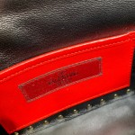 Valentino Fan Bingbing with the handbag 0123