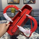 Dior Lady Seven Grid Princess Red Lacquered Silver