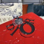 Dior Lady Seven Grid Princess Red Lacquered Silver