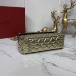 Valentino Fan Bingbing with the handbag 00122