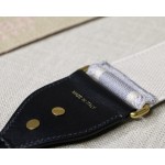 Dior letters gray shoulder strap