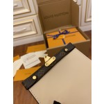 Louis Vuitton exclusive starting model: M67873