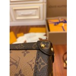 Louis Vuitton exclusive starting model: M67873