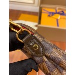 Louis Vuitton exclusive starting model: N41276