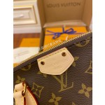 Louis Vuitton M48813