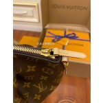 Louis Vuitton M48813