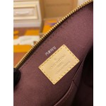 Louis Vuitton Large M48814