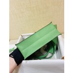 Kelly danse gold buckle evercolor 3i avocado  green