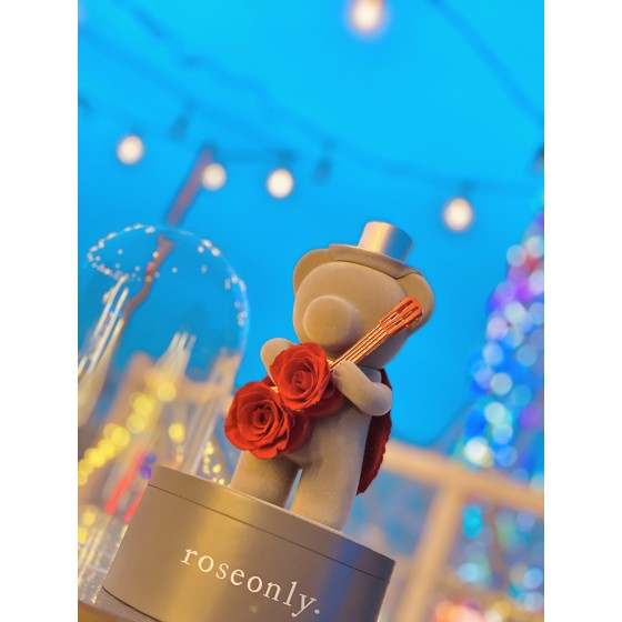 Christmas roseonly guitar bear 🎸