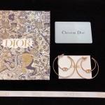Dior earrings