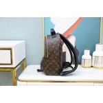 Louis Vuitton 𝐏𝐀𝐋𝐌 𝐒𝐏𝐑𝐈𝐍𝐆𝐒mini backpack🎒M44871