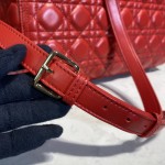 Dior Lady Seven Grid Princess Red Sheep Gold