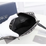 Dior   型号：1SFPO101触感牛皮革肩背包