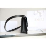 Montaigne palm print cow leather flap bag