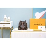 Louis Vuitton 𝙉𝙀𝙊𝙉𝙊🇫🇷French original material M44887