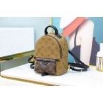 Louis Vuitton 𝐏𝐀𝐋𝐌 𝐒𝐏𝐑𝐈𝐍𝐆𝐒mini backpack🎒M44872