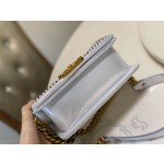 𝗖𝗵𝗮𝗻𝗲𝗹 𝗟𝗲𝗯𝗼𝘆 进口蟒蛇皮 内配小羊皮 最新款重金属手柄包