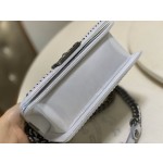 𝗖𝗵𝗮𝗻𝗲𝗹 𝗟𝗲𝗯𝗼𝘆 进口蟒蛇皮 内配小羊皮 最新款重金属手柄包