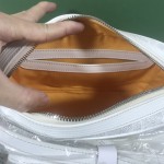 GOYARD Crossbody Camera Bag W26