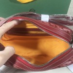 GOYARD Crossbody Camera Bag W26
