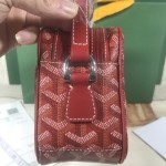 GOYARD Crossbody Camera Bag W26
