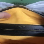 GOYARD Crossbody Camera Bag W26