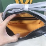 GOYARD Crossbody Camera Bag W26