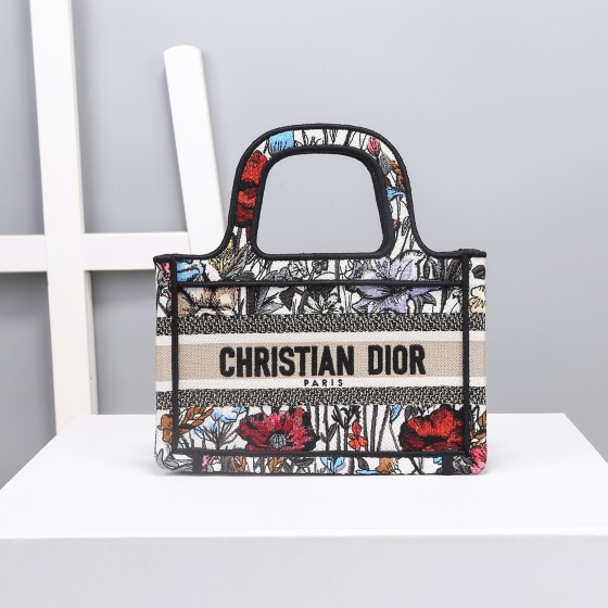 Dior Book Tote New Year's Limited Edition Collection