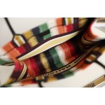 DIOR TOTE seven colorful stripes