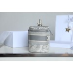 DIOR TRAVEL VANITY Cosmetic Bag