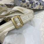 Dior 最新迷你肩带