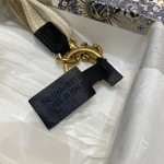 Dior 最新迷你肩带