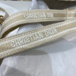 Dior 最新迷你肩带