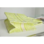 DIOR TOTE Fluorescent green embroidery