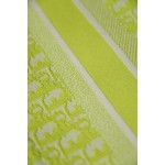 DIOR TOTE Oblique Fluorescent Green