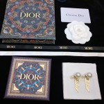 Dior earrings