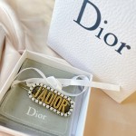 Dior hair clip