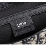 Dior Oblique Crossbody Bag