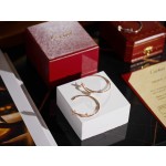 Cartier earrings