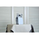 Kangkang 19 haze blue silver buckle epsom leather