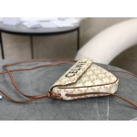 CELINE 𝑇𝑟𝑎𝑛𝑔𝑙𝑒 〰 Triangle bag model: 195902