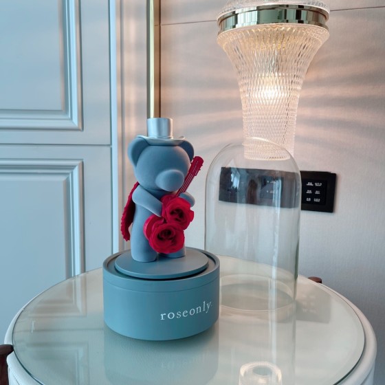 Christmas roseonly guitar bear 🎸