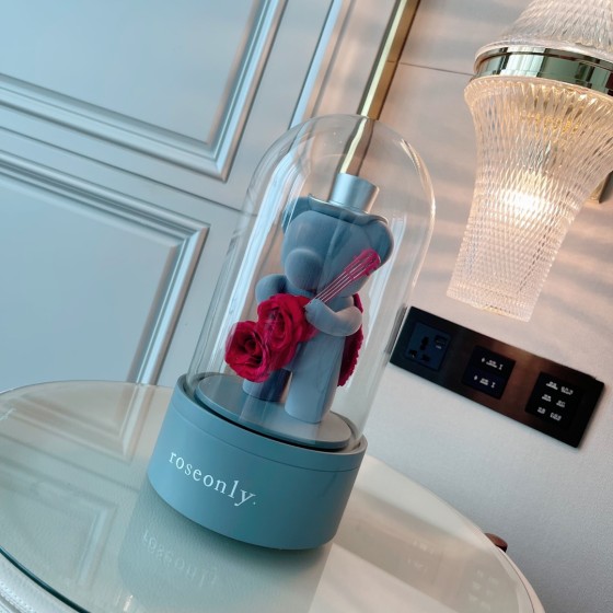 Christmas roseonly guitar bear 🎸