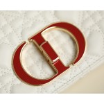 DIOR AMOUR CARO 2021 Tanabata Limited Edition White DR-061