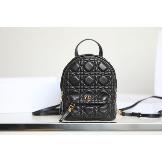 DIOR BACKPACK mini duffel bag DR-09