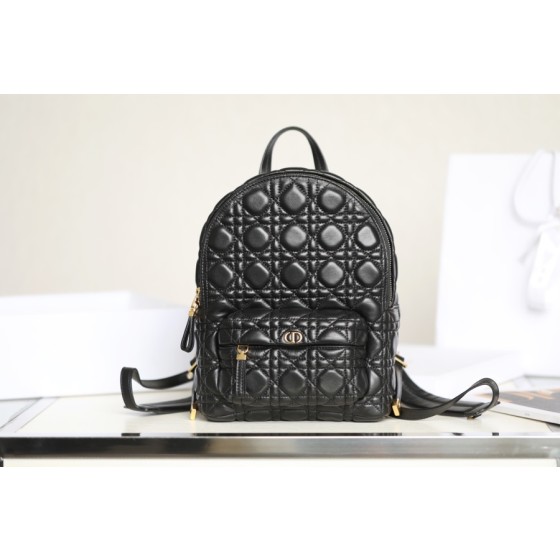 DIOR BACKPACK small size shoulder bag DR-89